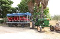 Tractor1_thumb